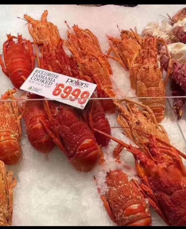 nonono猫原视频,德国bozo卫生间厕纸盒壁挂式