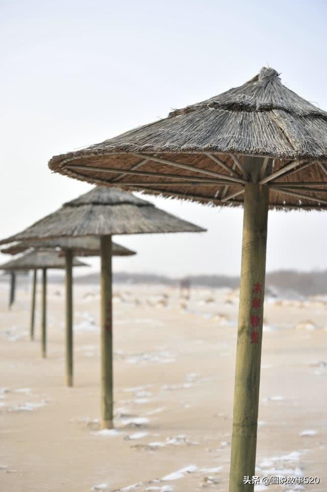 大海和沙漠之间的地方,大海和沙漠相接的地方