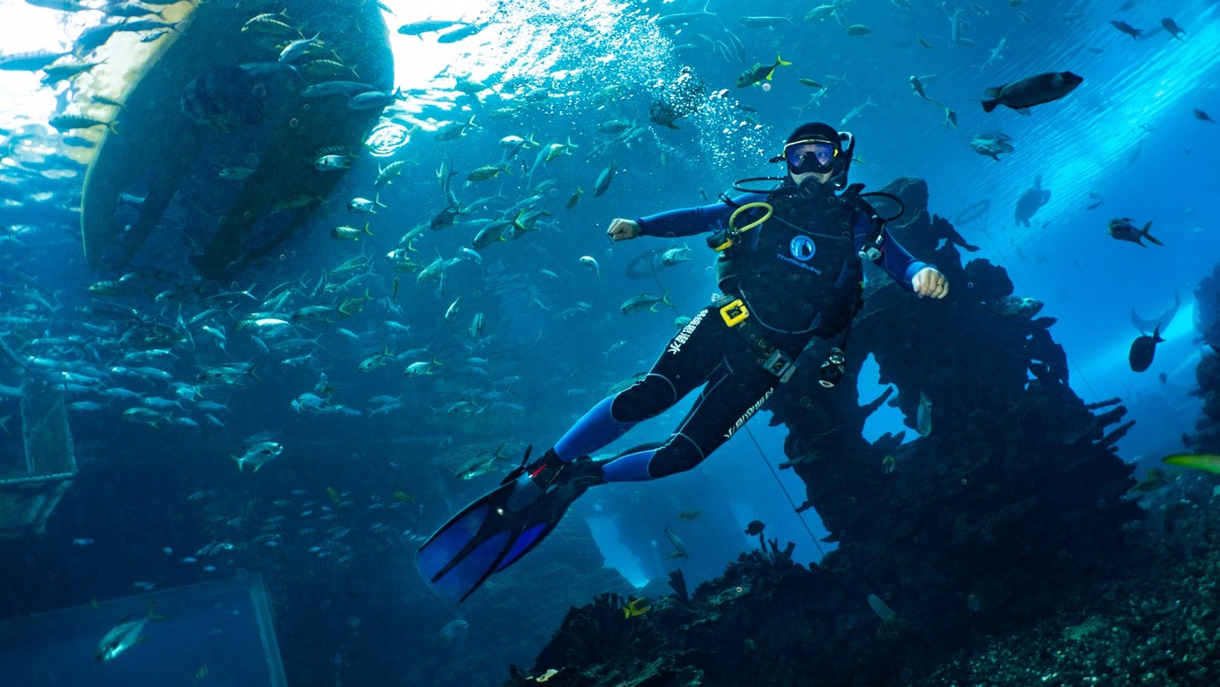 三亚学潜水机构推荐,三亚学潜水哪个最专业