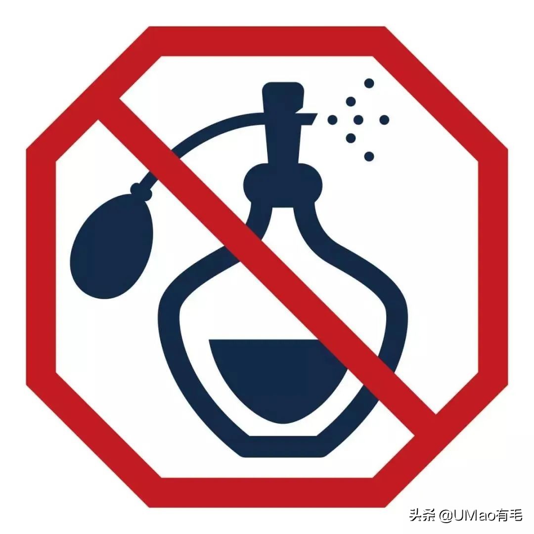 为什么养猫和想象中的不一样,为什么养猫比对自己的父母还好呢