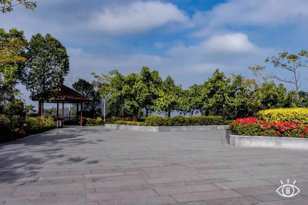 深圳看海去哪里比较好,深圳出地铁就看海的地方是哪里