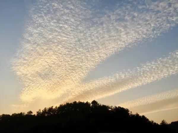 金寨为爱殉情,金寨牺牲了多少人