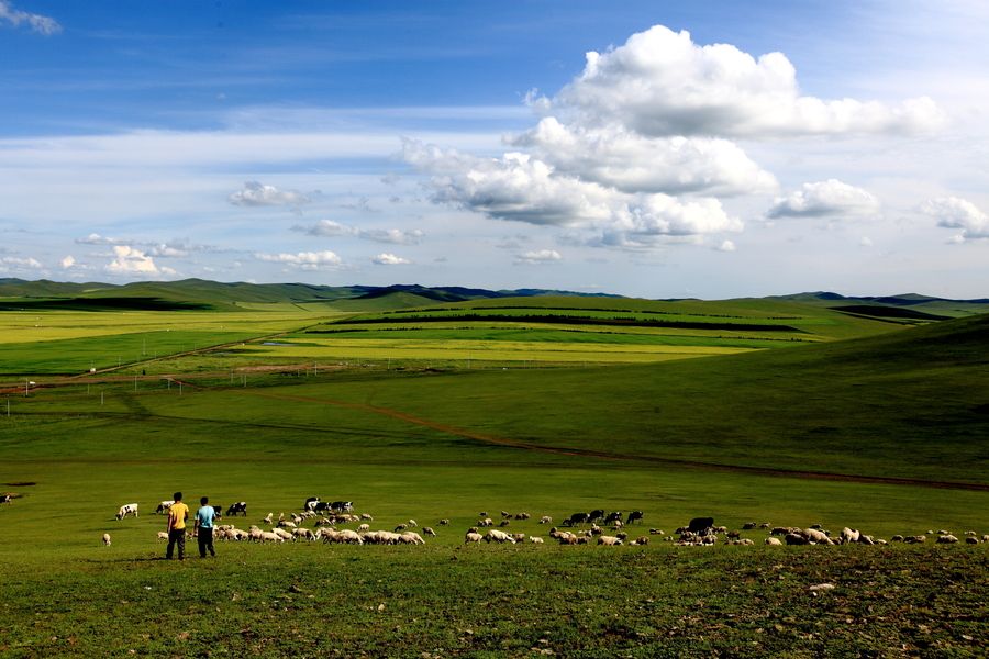 漠河根河最冷城市,中国最冷的地方是漠河吗