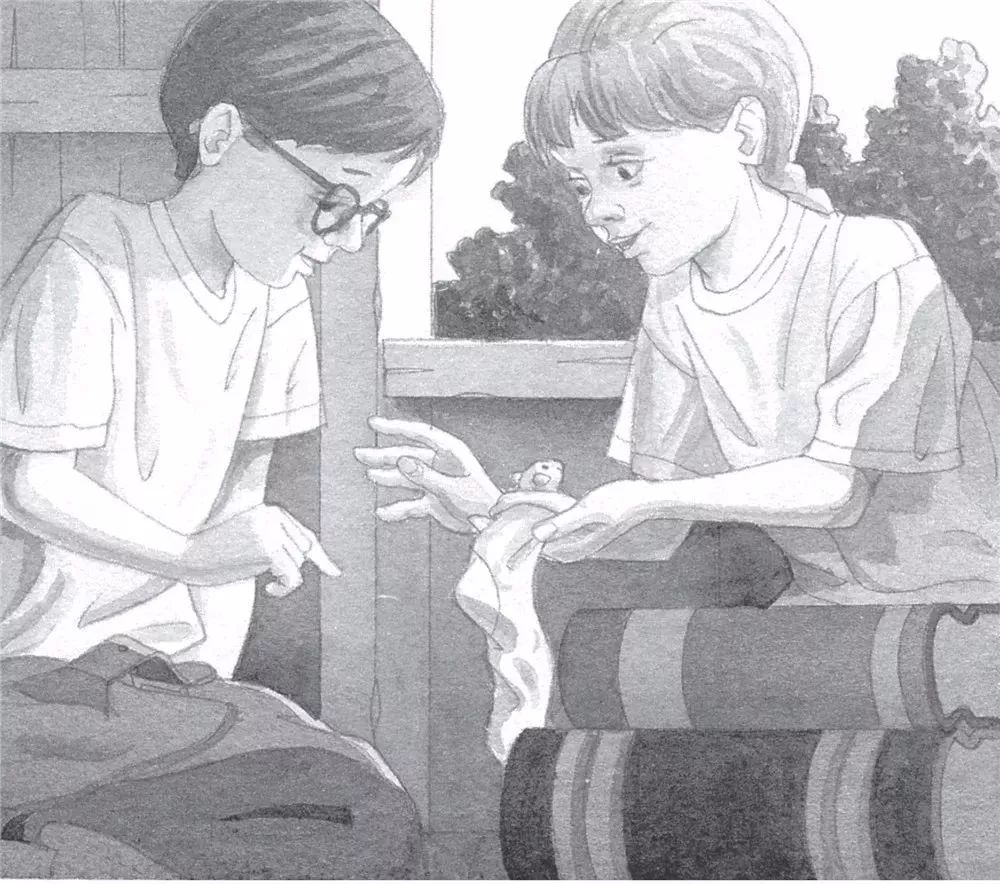 神奇树屋适合多大孩子读,神奇树屋小百科44册