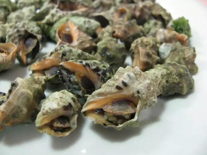 开海特价海鲜,开海的海鲜视频