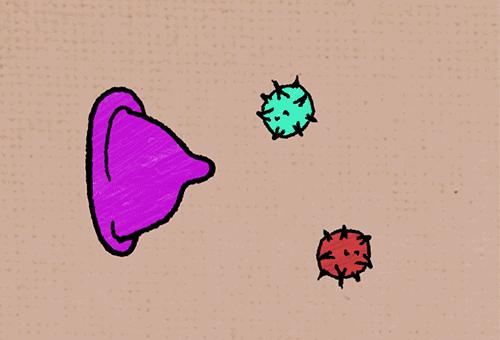 女生必须知道的7件事,女生必须知道的3件事