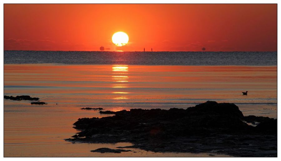 tomorrowisanothernewday,tomorrowisanewday文字翻译