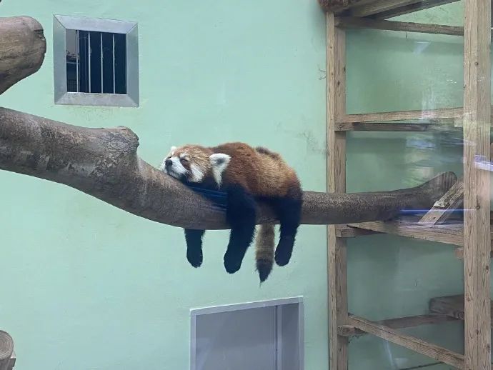 图集|如果侃爷当了美国总统，大家岂不是可以看第一夫人开车？