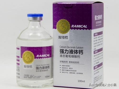 给狗狗打疫苗教学视频防咬,给狗狗打疫苗的正确方法