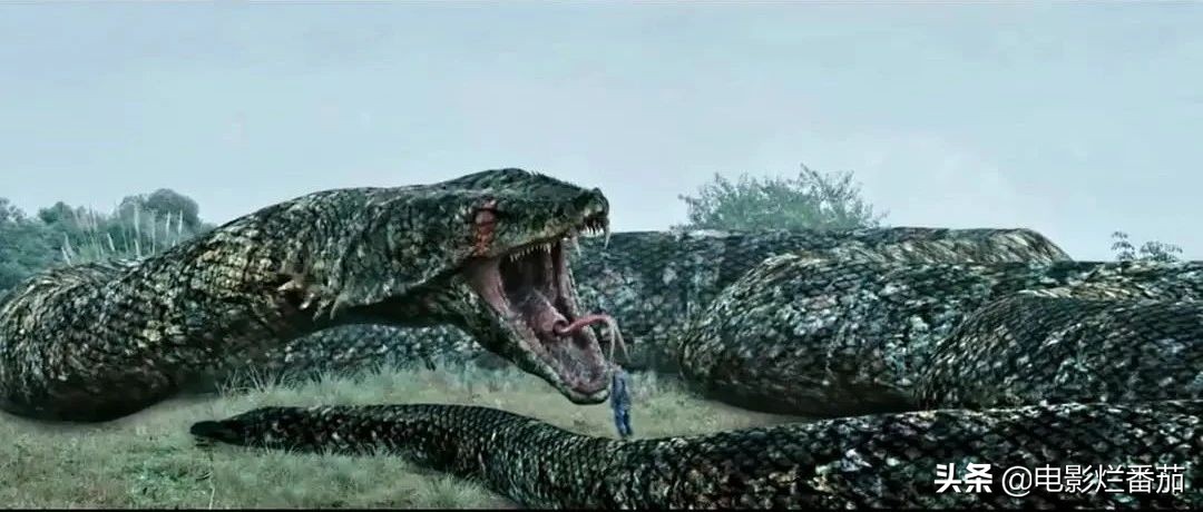 网播量破百亿电影,网络电影2022排行榜