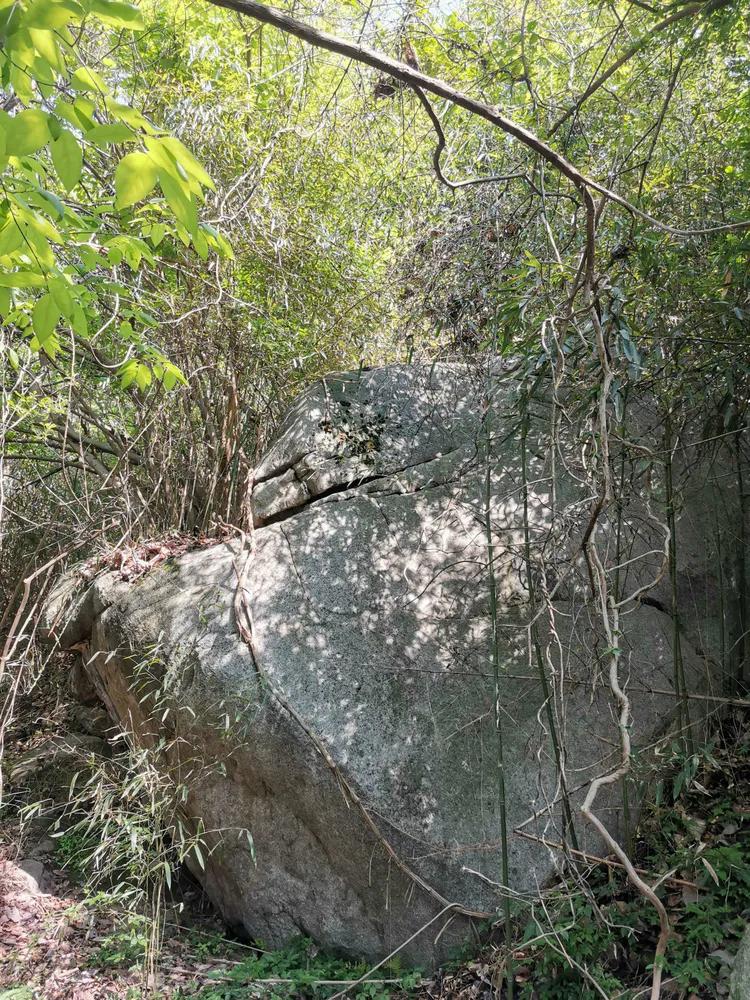 华容山水苑别墅100万,华容秀丽山水风景区