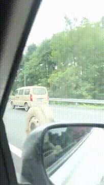 京东plus会员有爱奇艺会员怎么领,京东plus会员是钻石会员吗