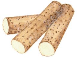 德叔医古｜胸闷痰多不够气，吸烟伤肺需调补