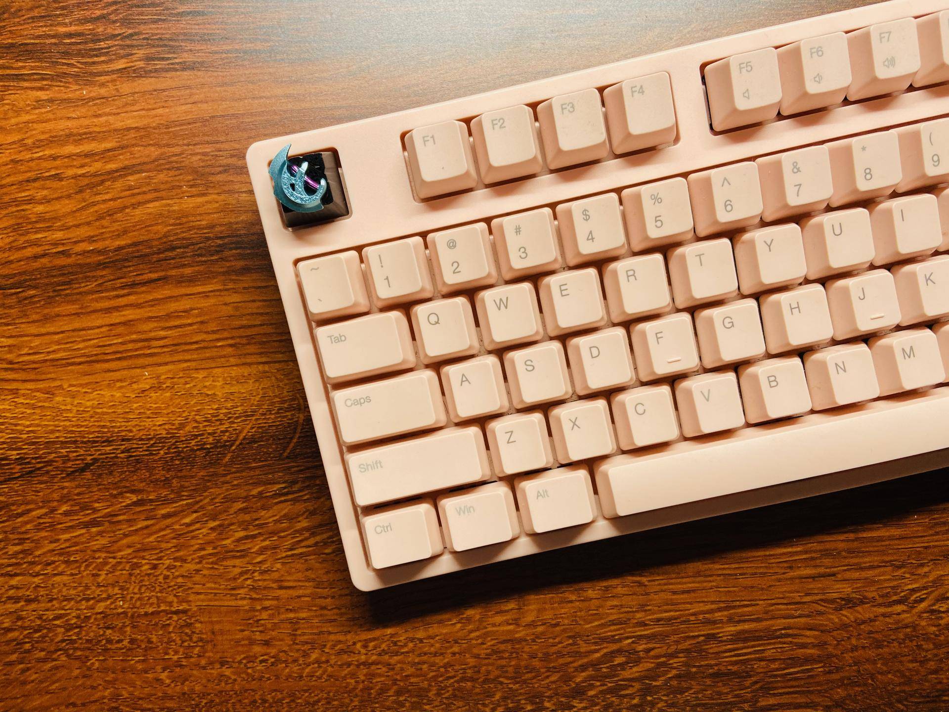 生产力？爱奇艺？当然是全都要。个人外出清单全揭秘