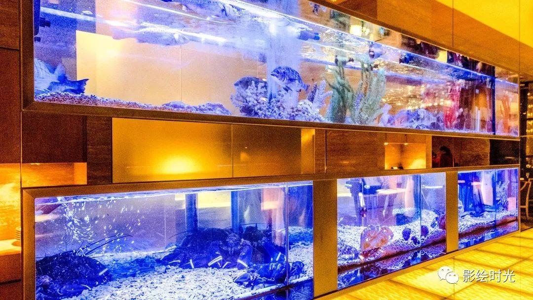 澳门轻奢旅游攻略,澳门吃喝玩乐旅游攻略