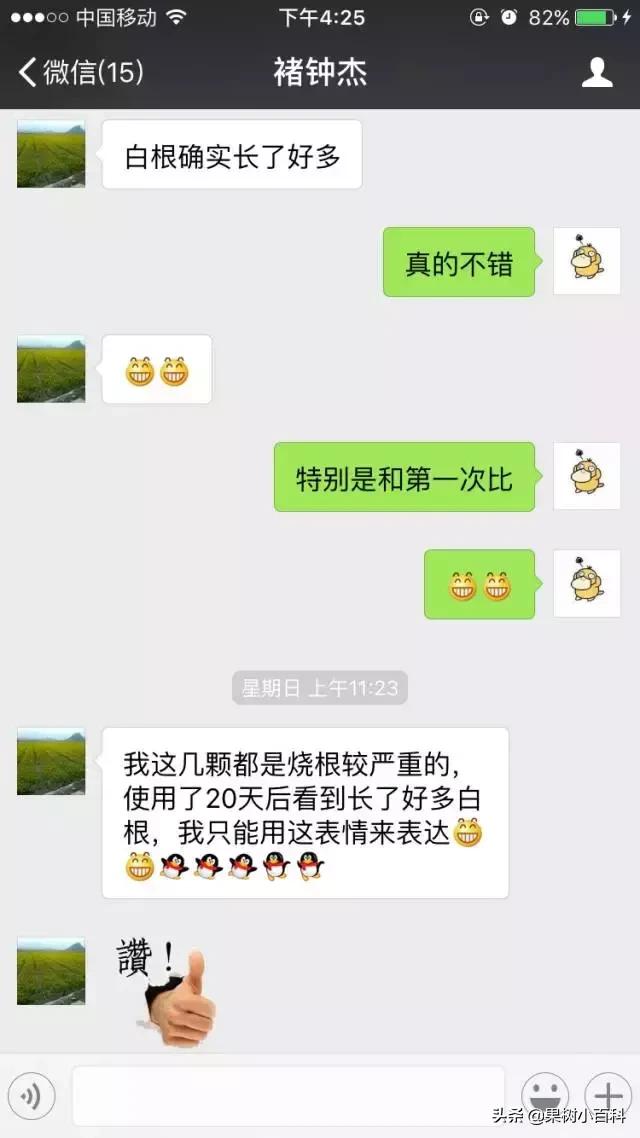 作物的根系好不好，直接决定作物的产量，柑橘尤其如此