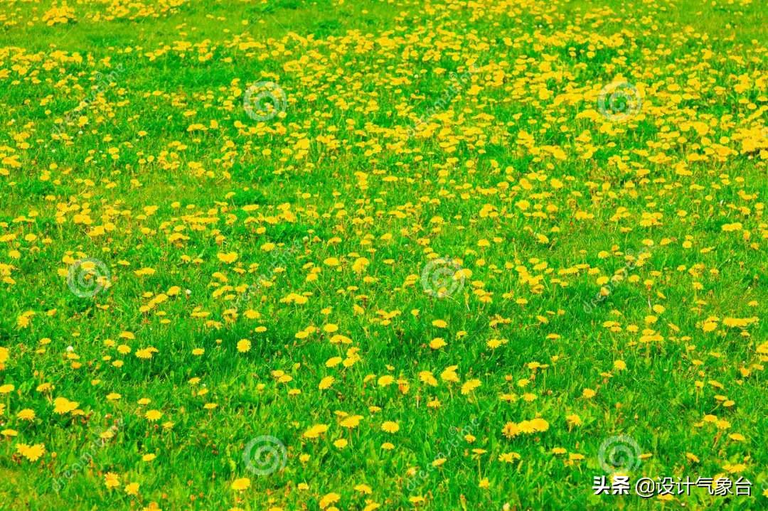 拼贴风效果图技巧,psd景观拼贴效果图教程