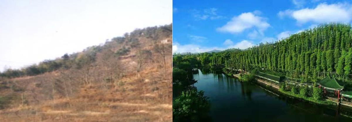 特例还是惯例—迷之杭州东方文化园系公司重整