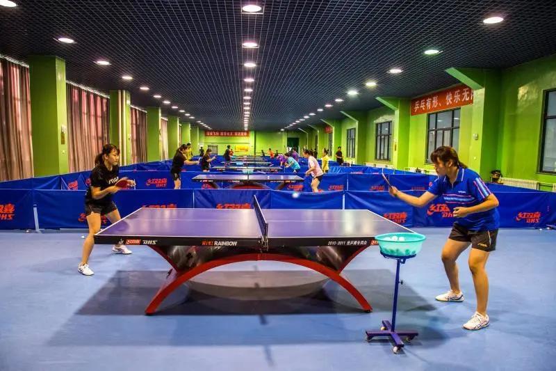 专业解读|体育教育、运动康复、运动训练、武术与民族传统体育