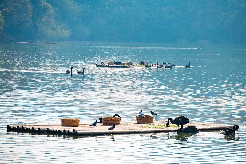 离广州长隆最近的海滩景点,长隆海洋世界王国必打卡景点