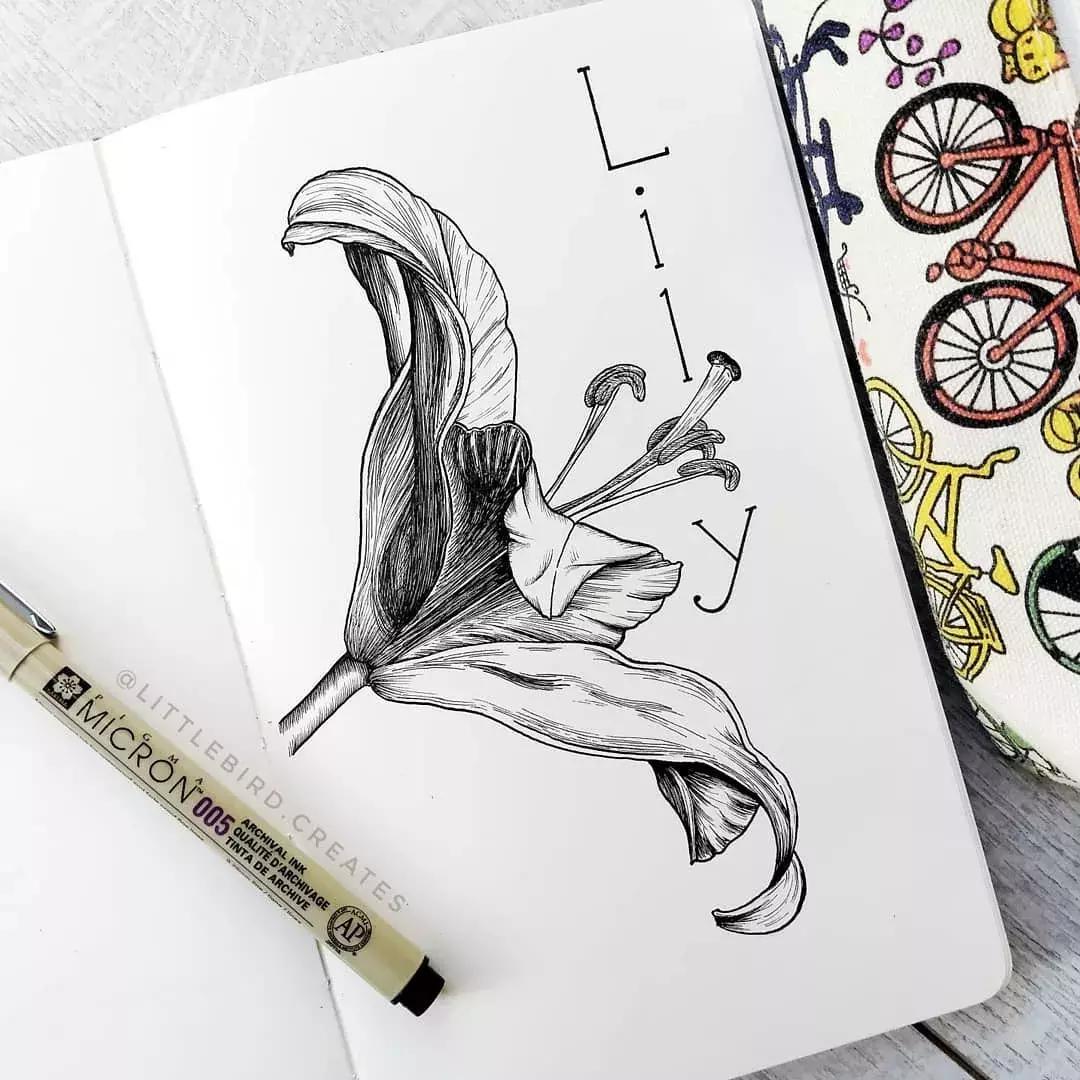 这一波手绘太给力了,绝对让你练完不厉害都难