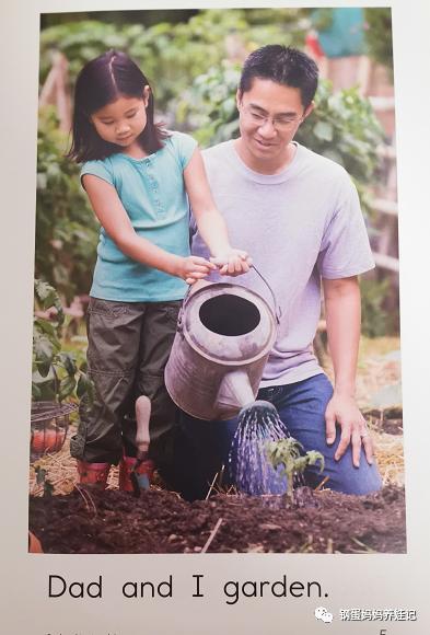 raz分级阅读和斑马英语,英语分级阅读raz