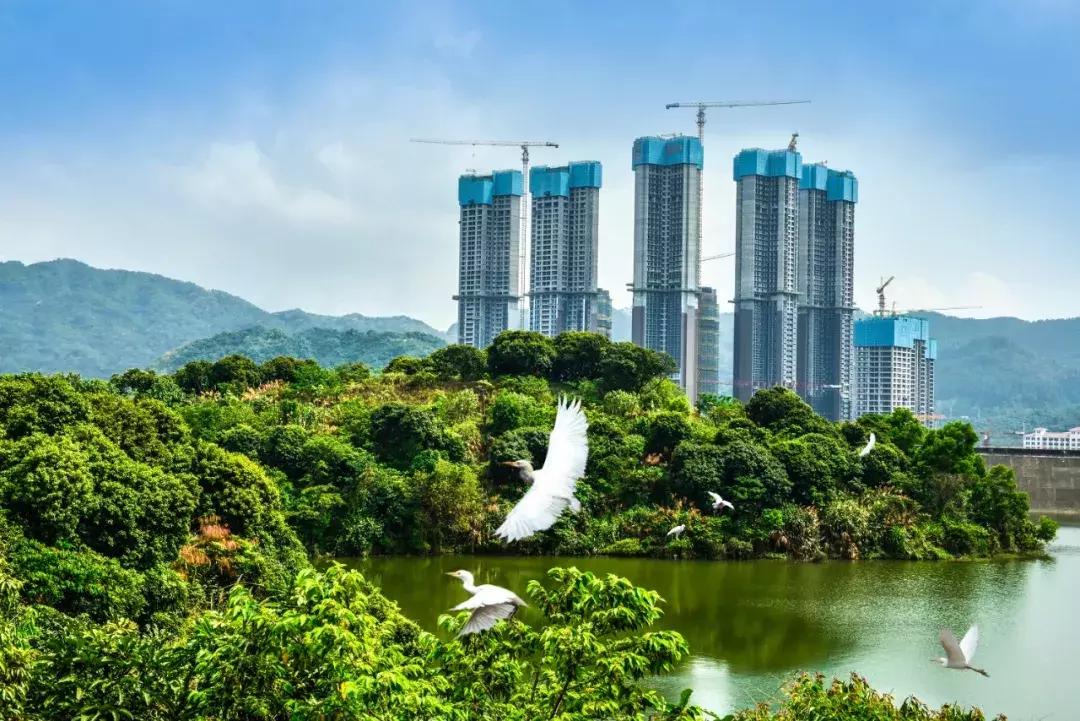 土拍房最新消息,今年的土拍已经指明了楼市的趋势