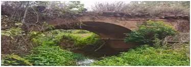 茶马古道马蹄坑,茶马古道篇