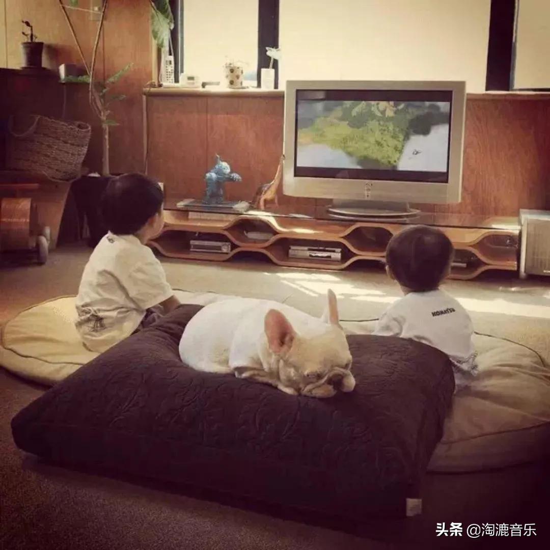 淘漉编辑部的故事：想跟你说说，2020最后一个冬日里的好*光春**