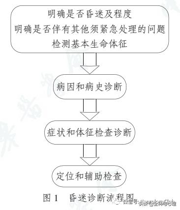 昏迷诊断的流程图,昏迷怎样下诊断
