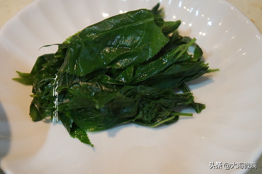 刺五加叶蛋花汤怎么做,刺五加叶炒鸡蛋做法