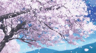 动漫中樱花的意义,日本动漫中樱花文化