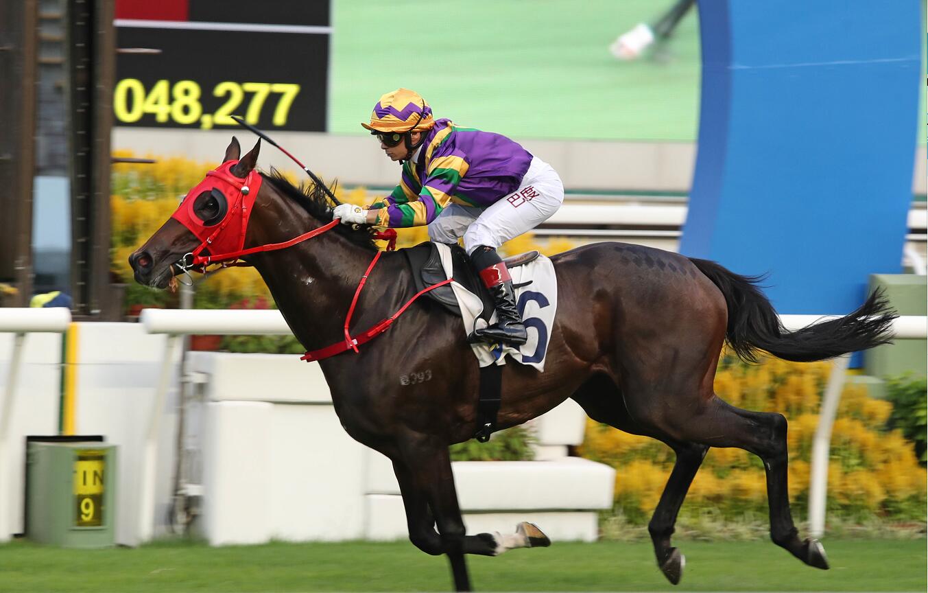 香港新马季疫下开锣破纪录首日投注额达13.76亿元