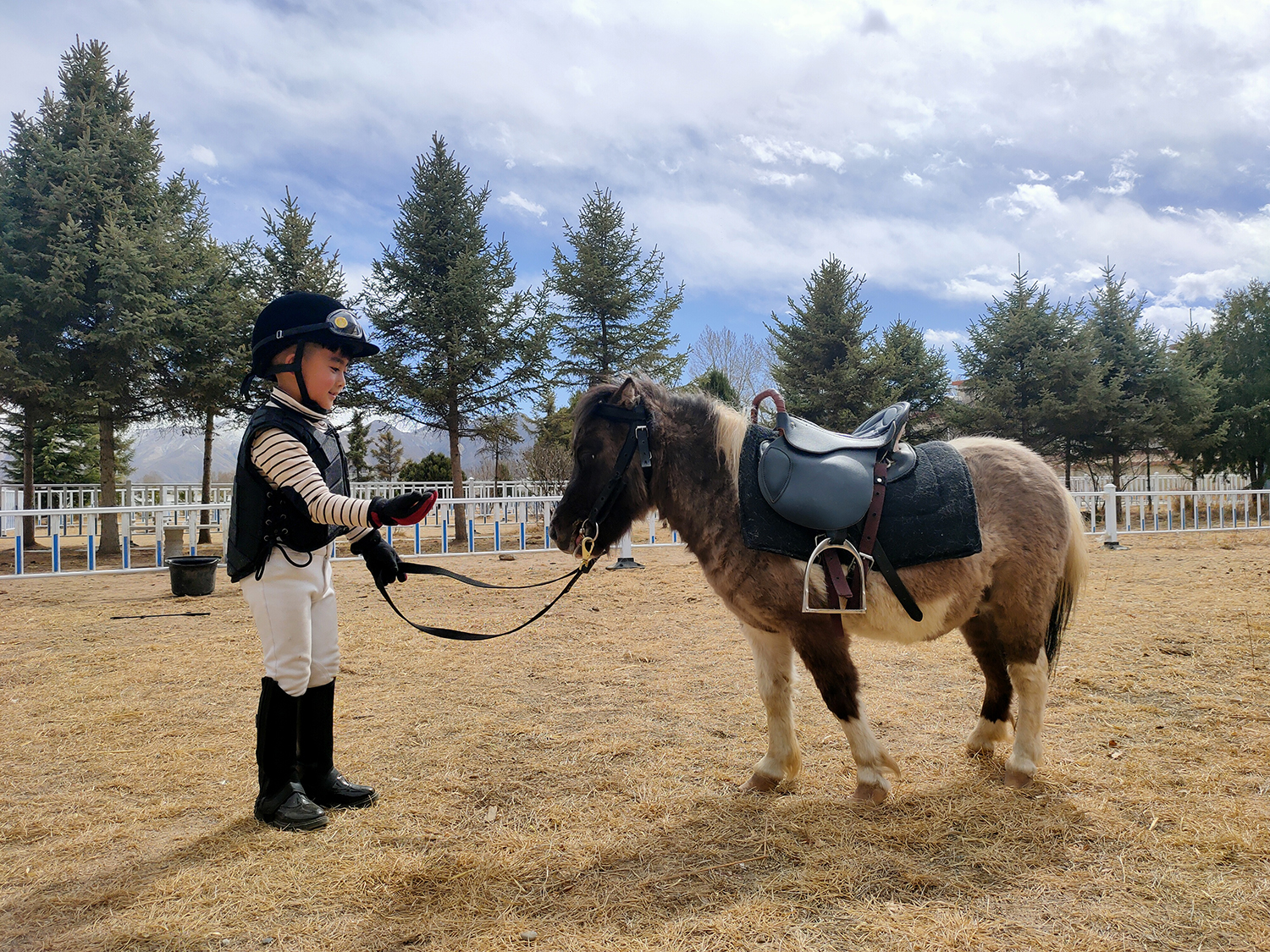 民族民间体育项目展示,北方特色传统体育项目
