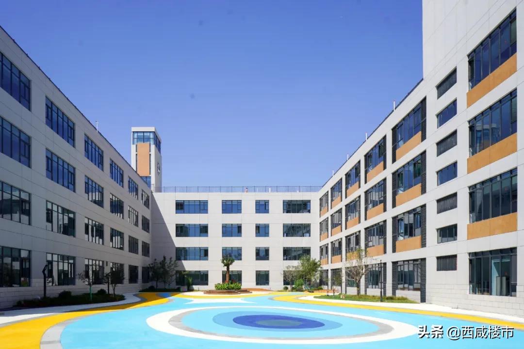 新增的231个学位是什么,5年内新增438万公办学位