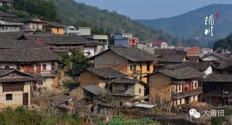 爱你没商量直播吗,爱你没商量海南