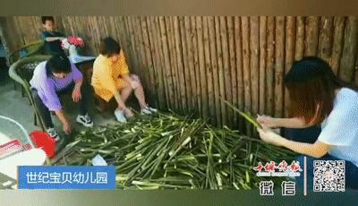 还未开学的幼儿园老师日常,十堰幼儿园开学