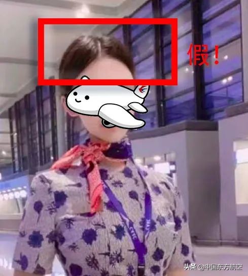 空乘投诉有用吗,空乘十大骗局