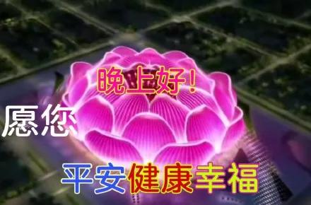 恒大足球场荷花造型火了,广州恒大足球场莲花造型