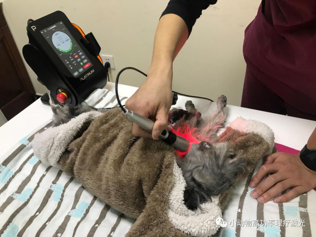 褥疮护理个案,褥疮个案护理