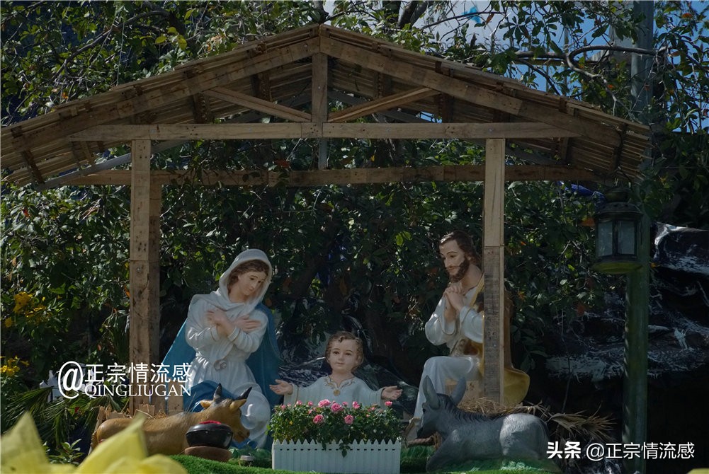 芽庄印象｜|想说爱你不容易