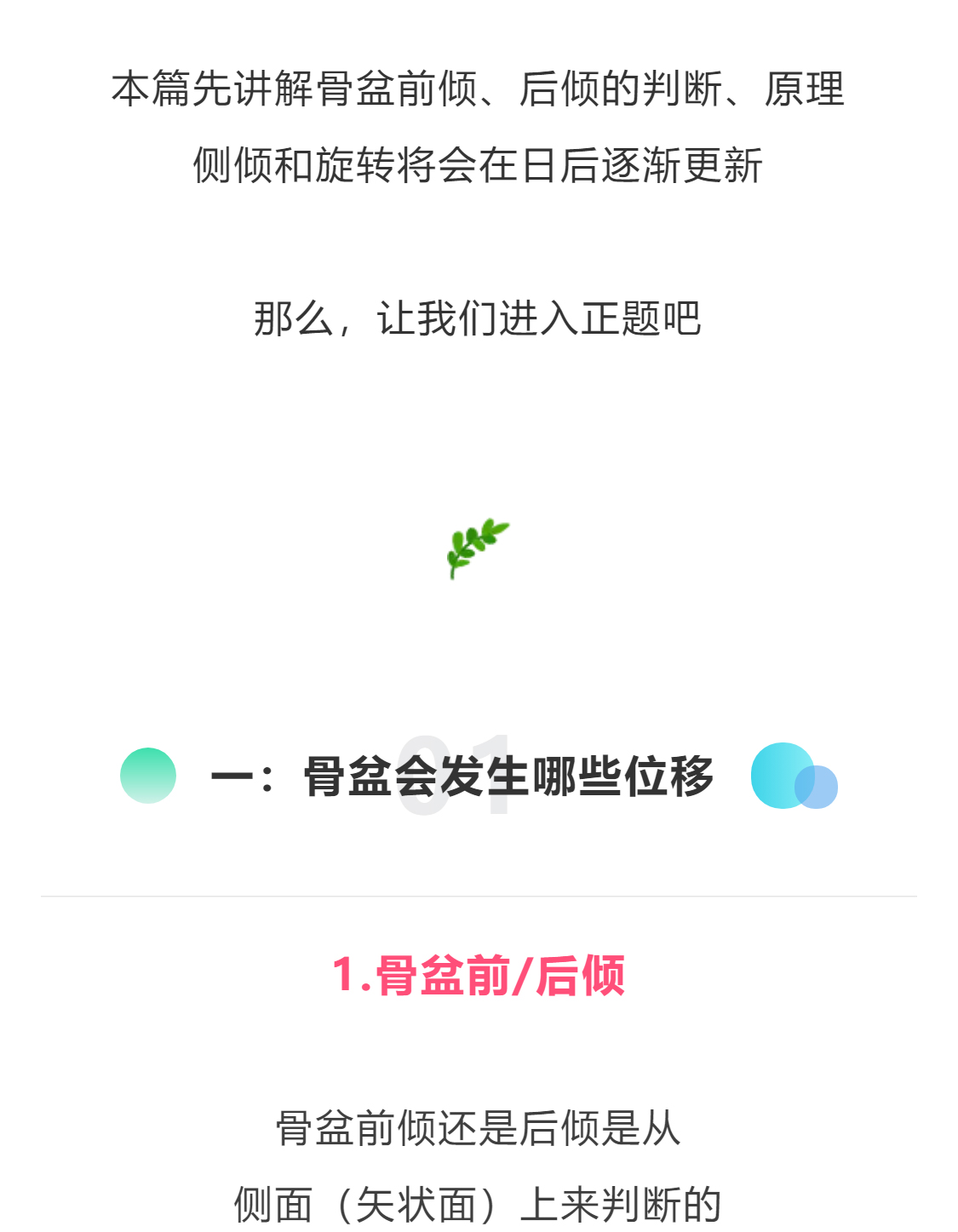 正美体态矫正骨盆旋转,正骨盆前倾如何矫正