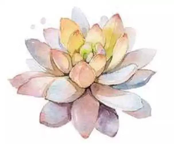 如何让店里流量倍增,实体店提升业绩的方法