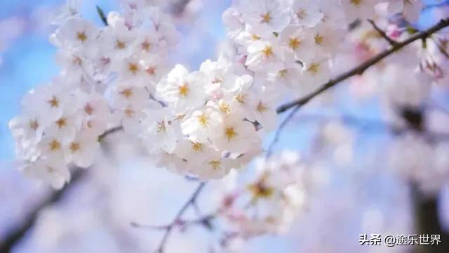 苏州周边自驾游最佳景点,苏州火车站周边景点一日游