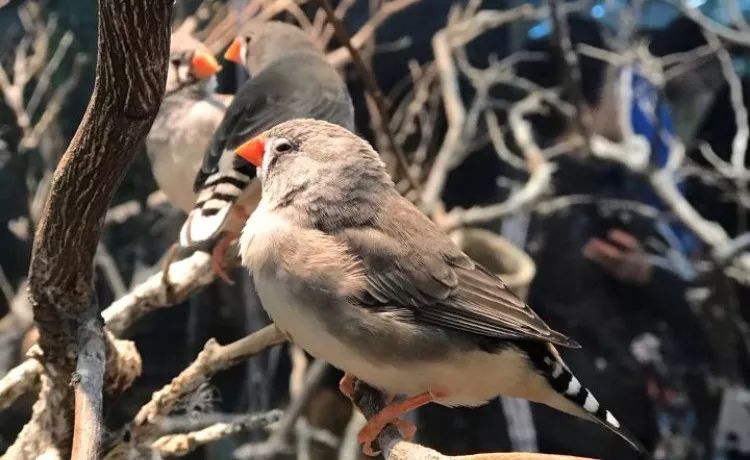 武汉带孩子吃喝游玩地方推荐,武汉吃喝玩乐指南