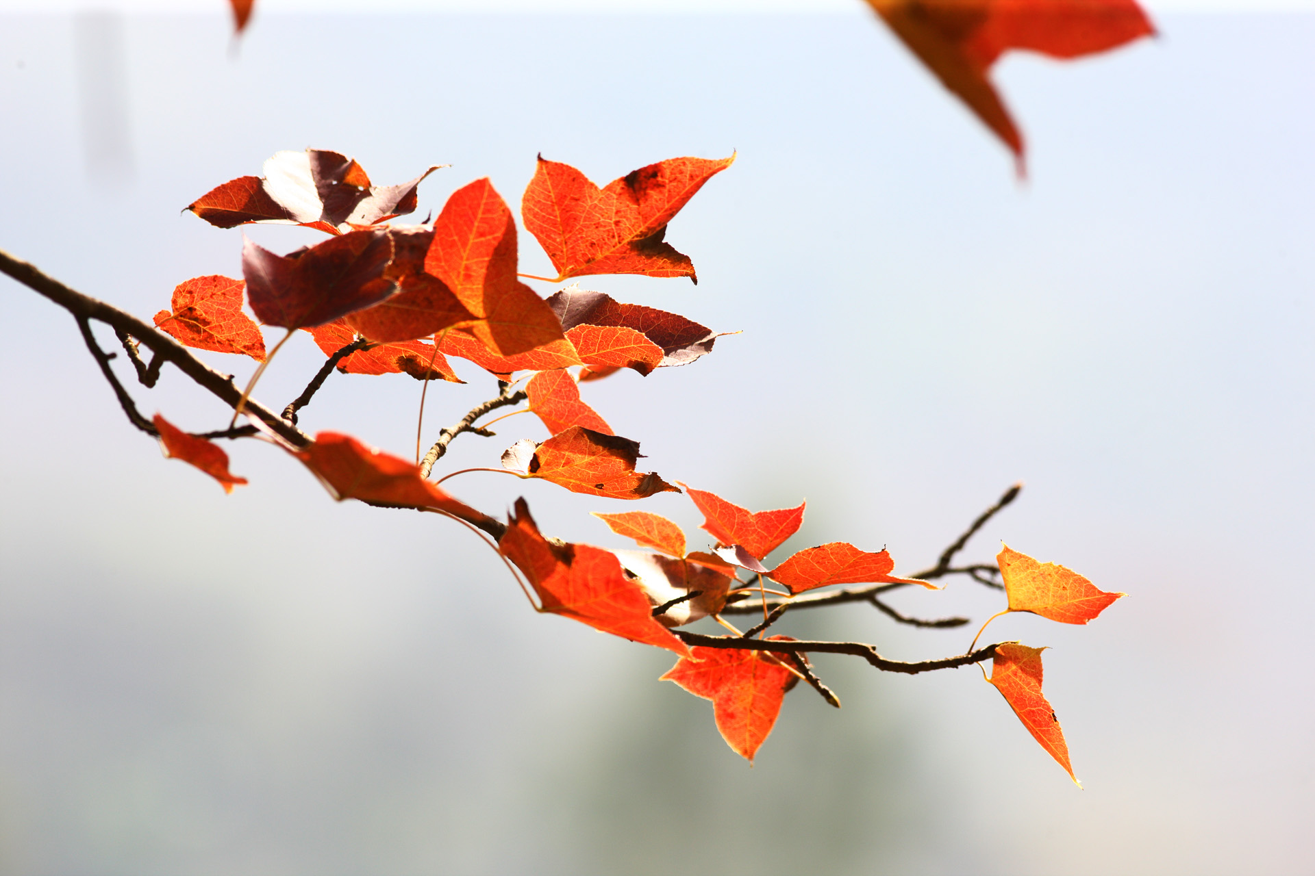 佳能1dsmark3还值得买吗,ds时代