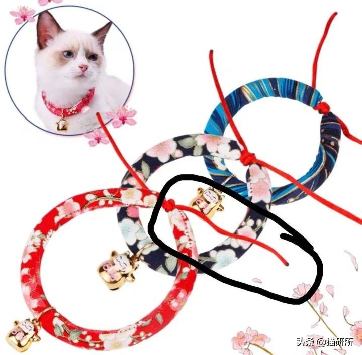 猫咪项圈对人有没有危害,猫咪项圈对猫咪有危害吗