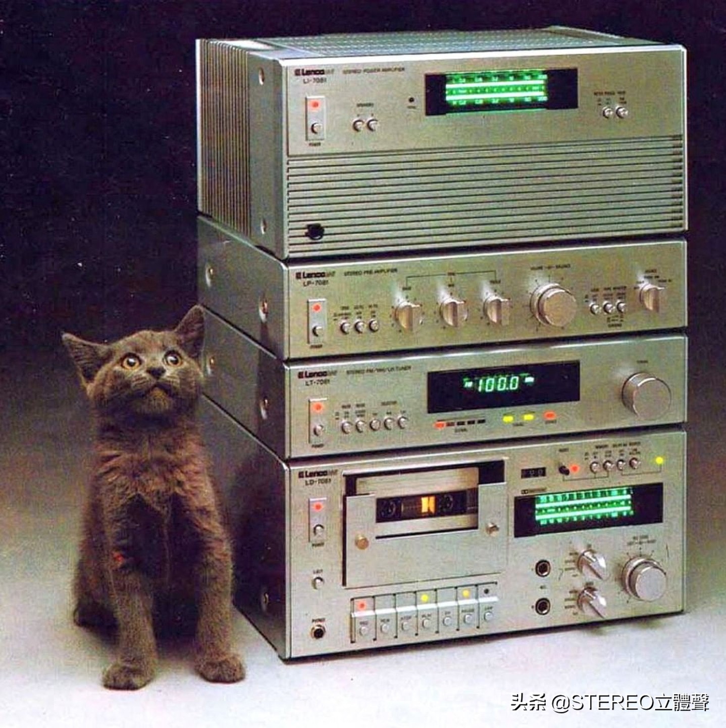 她们都很美全文免费阅读,他们都很美丽原版