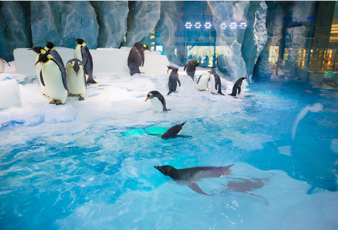 珠海十大豪华酒店推荐,珠海必住十大酒店珠海斗门