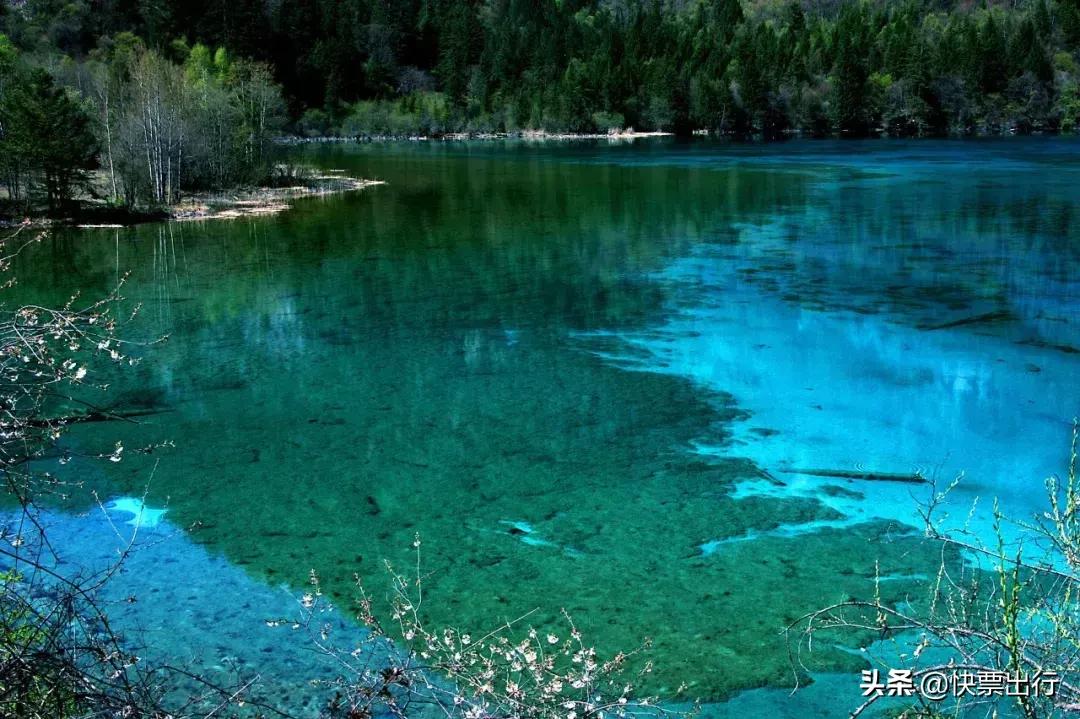 现在的九寨沟还值得去吗,经过一年的休整